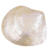 Natural Light Yellow Mother of Pearl Sea Shell Dish Home Decor