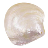 Natural Light Yellow Mother of Pearl Sea Shell Dish Home Decor