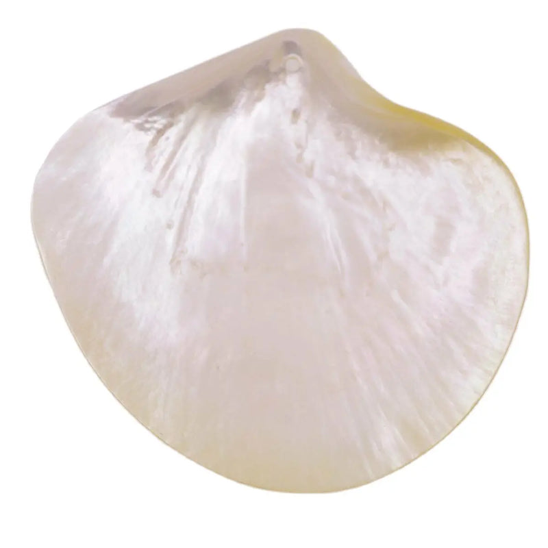 Natural Light Yellow Mother of Pearl Sea Shell Dish Home Decor