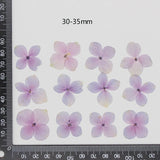 60 Pcs Natural Pink Purple Hydrangea DIY Dried Flowers UV Resin Mold Filling