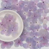 60 Pcs Natural Pink Purple Hydrangea DIY Dried Flowers UV Resin Mold Filling