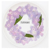 60 Pcs Natural Pink Purple Hydrangea DIY Dried Flowers UV Resin Mold Filling