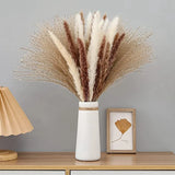 60Pcs Natural Dried Pampas Grass Bouquets - 17.5Inch Fluffy Boho Arrangement