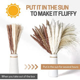 60Pcs Natural Dried Pampas Grass Bouquets - 17.5Inch Fluffy Boho Arrangement