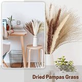 60Pcs Natural Dried Pampas Grass Bouquets - 17.5Inch Fluffy Boho Arrangement