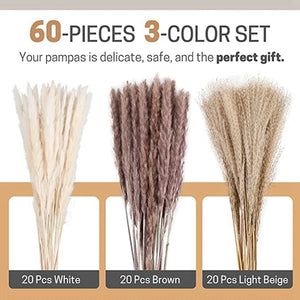60Pcs Natural Dried Pampas Grass Bouquets - 17.5Inch Fluffy Boho Arrangement
