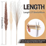60Pcs Natural Dried Pampas Grass -17.5Inch Fluffy Bouquets Home Decor Wedding