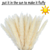 60Pcs White Pampas Grass 17.72Inch for Wedding Decor