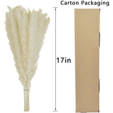 60Pcs White Pampas Grass 17.72Inch for Wedding Decor