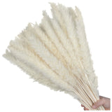 60Pcs White Pampas Grass 17.72Inch for Wedding Decor