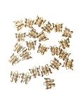 img_17636751