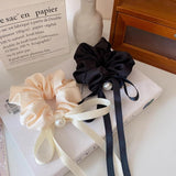 img_13895851
