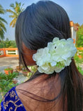img_12557377