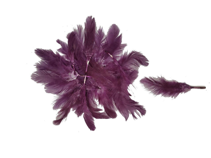 img_17626191
