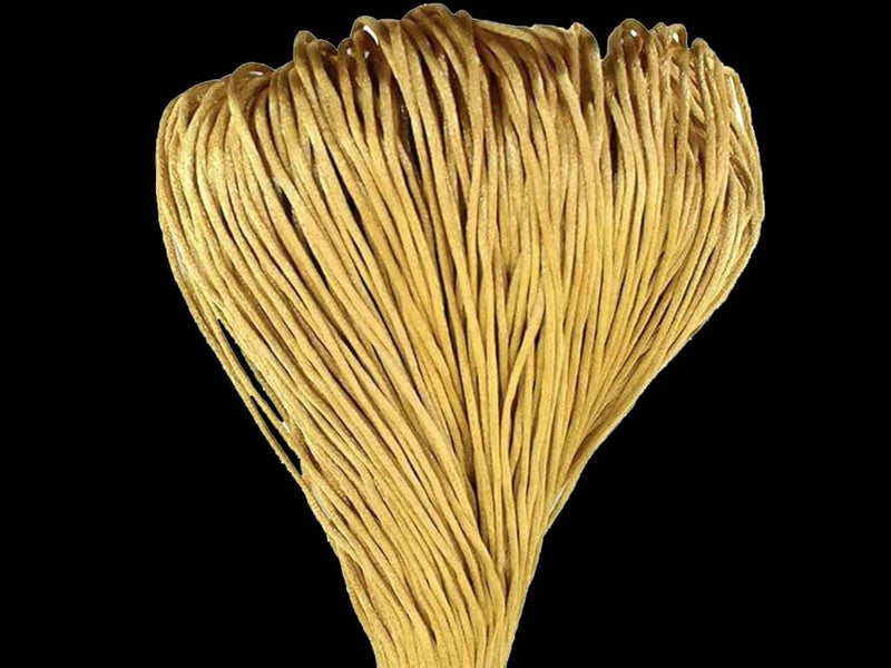 img_13919665