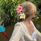 img_13903011