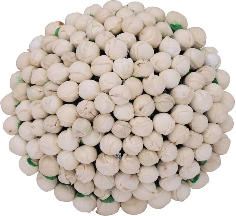 img_13309158