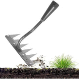 img_14440819