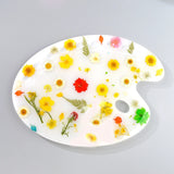 Oval Paint Palette Resin Mold for Artists
