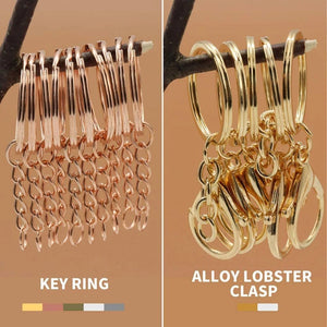 660Pcs Keychain Rings for Crafts w/ Lobster Clasp, Screw Eye Pins Hooks