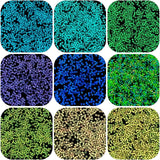 660Pcs Luminous UV Bead Glow in Dark Color Changing Pony Bead for DIY Bracelet