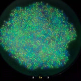 660Pcs Luminous UV Bead Glow in Dark Color Changing Pony Bead for DIY Bracelet