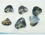 6PCS Natural Pearl Oyster 6-7MM Vacuum Packed