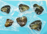 6PCS Natural Pearl Oyster 6-7MM Vacuum Packed