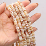 6PCS Natural Freshwater Shells Shell Disc Bead Necklace Bracelet Jewelry