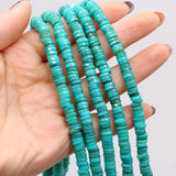 6PCS Natural Freshwater Shells Shell Disc Bead Necklace Bracelet Jewelry