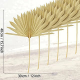 6Pcs Natural Dried Palm Leaves Wedding Decor Bouquet
