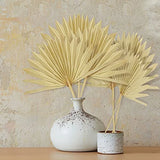 6Pcs Natural Dried Palm Leaves Wedding Decor Bouquet