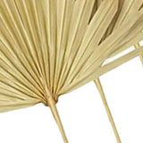 6Pcs Natural Dried Palm Leaves Wedding Decor Bouquet