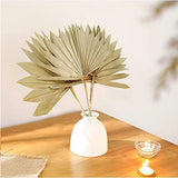 6Pcs Natural Dried Palm Leaves Wedding Decor Bouquet