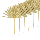 6Pcs Natural Dried Palm Leaves Wedding Decor Bouquet