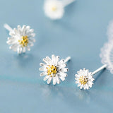 925 Silver Daisy Flowers Stud Earrings for Women