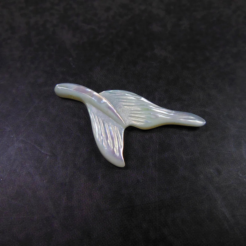 6pc Tiny Whale Tail Shell Bead Sea Shell Beads For Jewelry Making 12x24mm