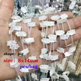 6pcs Shell Beads Dog Pig Dolphin Fish Elephant Mother of Pearl Beads