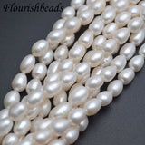 7x8mm Natural Freshwater Pearl Rice Shape Loose Beads 5 Strands/lot