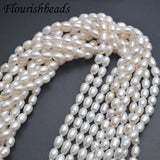 7x8mm Natural Freshwater Pearl Rice Shape Loose Beads 5 Strands/lot