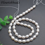 7x8mm Natural Freshwater Pearl Rice Shape Loose Beads 5 Strands/lot