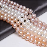 Natural Purple Champagne Freshwater Pearls Beads Jewelry Making