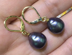 7-9mm South Sea Pearl Drop Earrings
