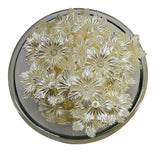 img_14093804
