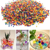 img_14518341