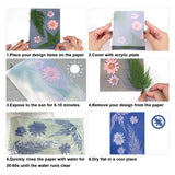 73 Sun Print Cyanotype Nature Printing Paper Kit