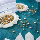 780Pcs Sew on Rhinestone Glass Rhinestone With Prong Settings