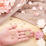 780pcs Sew on Rhinestone Glass Rhinestone with Brass Prong Settings