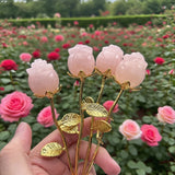 img_5947726
