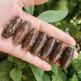 7pcs/lot French Snails Dzi Beads Rare Natural Accessories